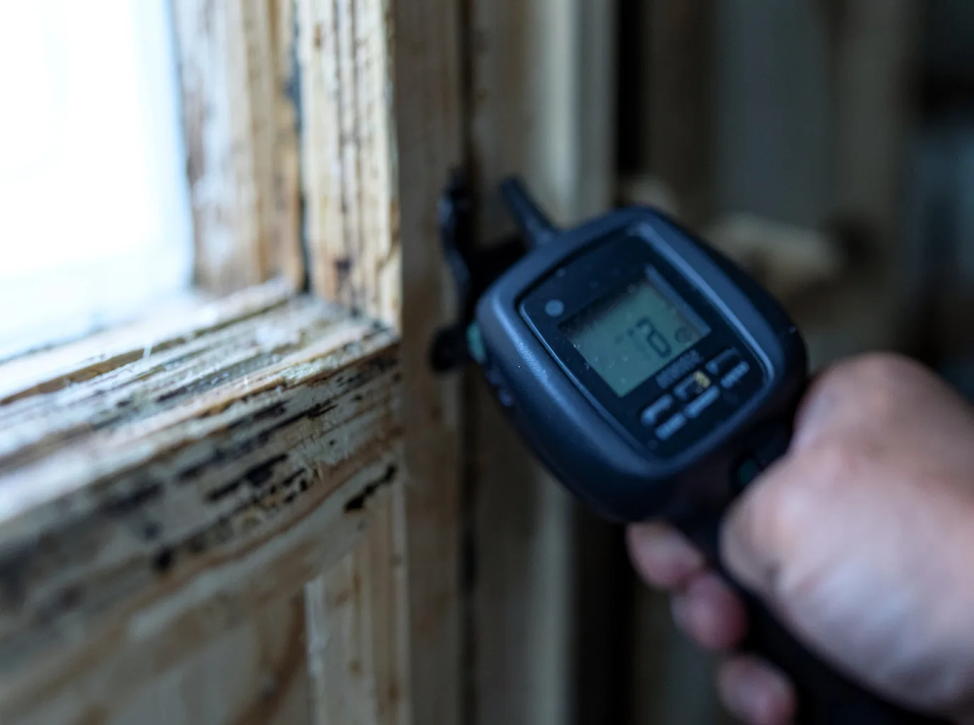 Moisture Inspection And Documentation in Cochiti Pueblo, NM